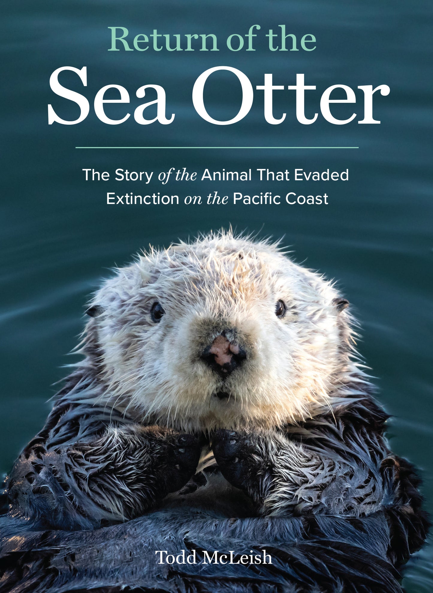 Return of the Sea Otter