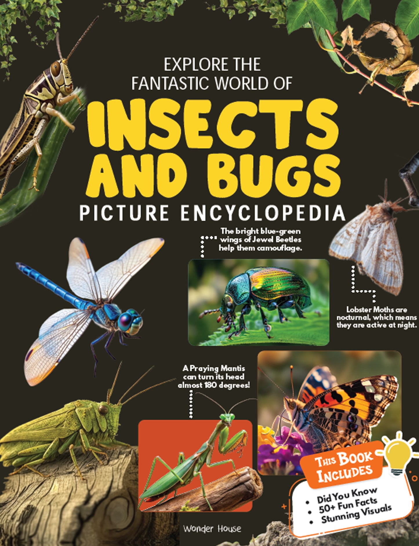 Explore Fantastic World of Insects And Bugs Picture Encyclopedia