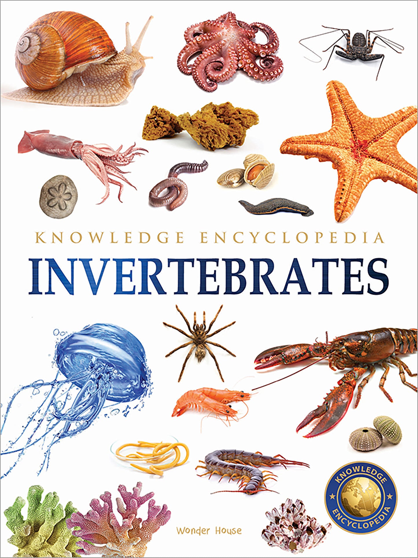 Animals - Invertebrates : Knowledge Encyclopedia For Children