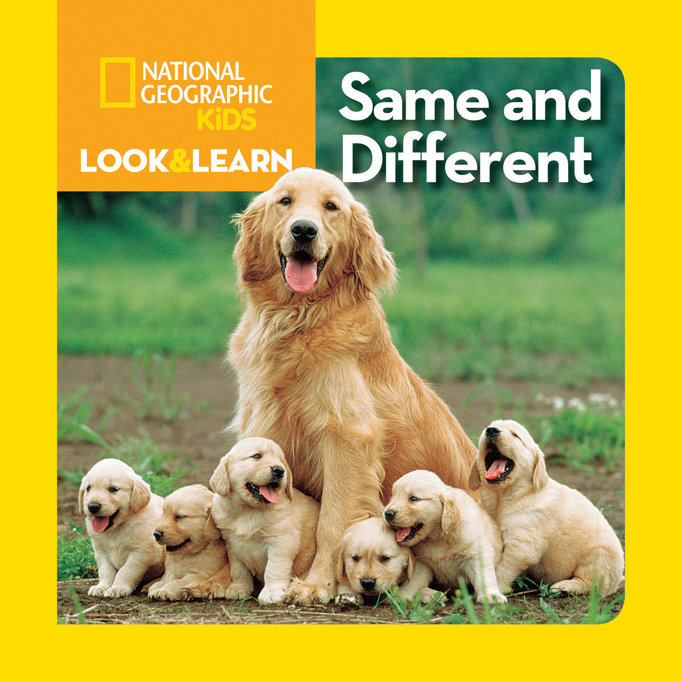 National Geographic Kids Look & Learn: Same and Different