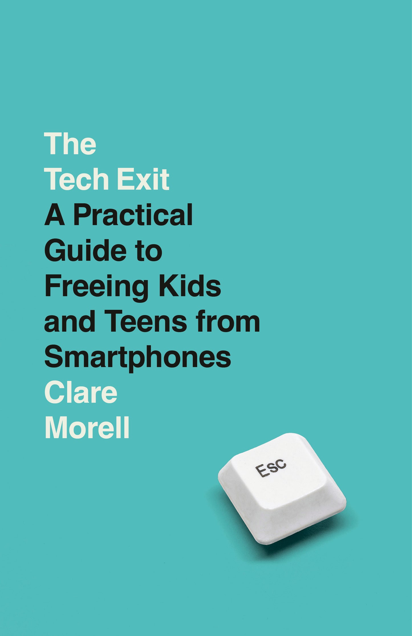 The Tech Exit