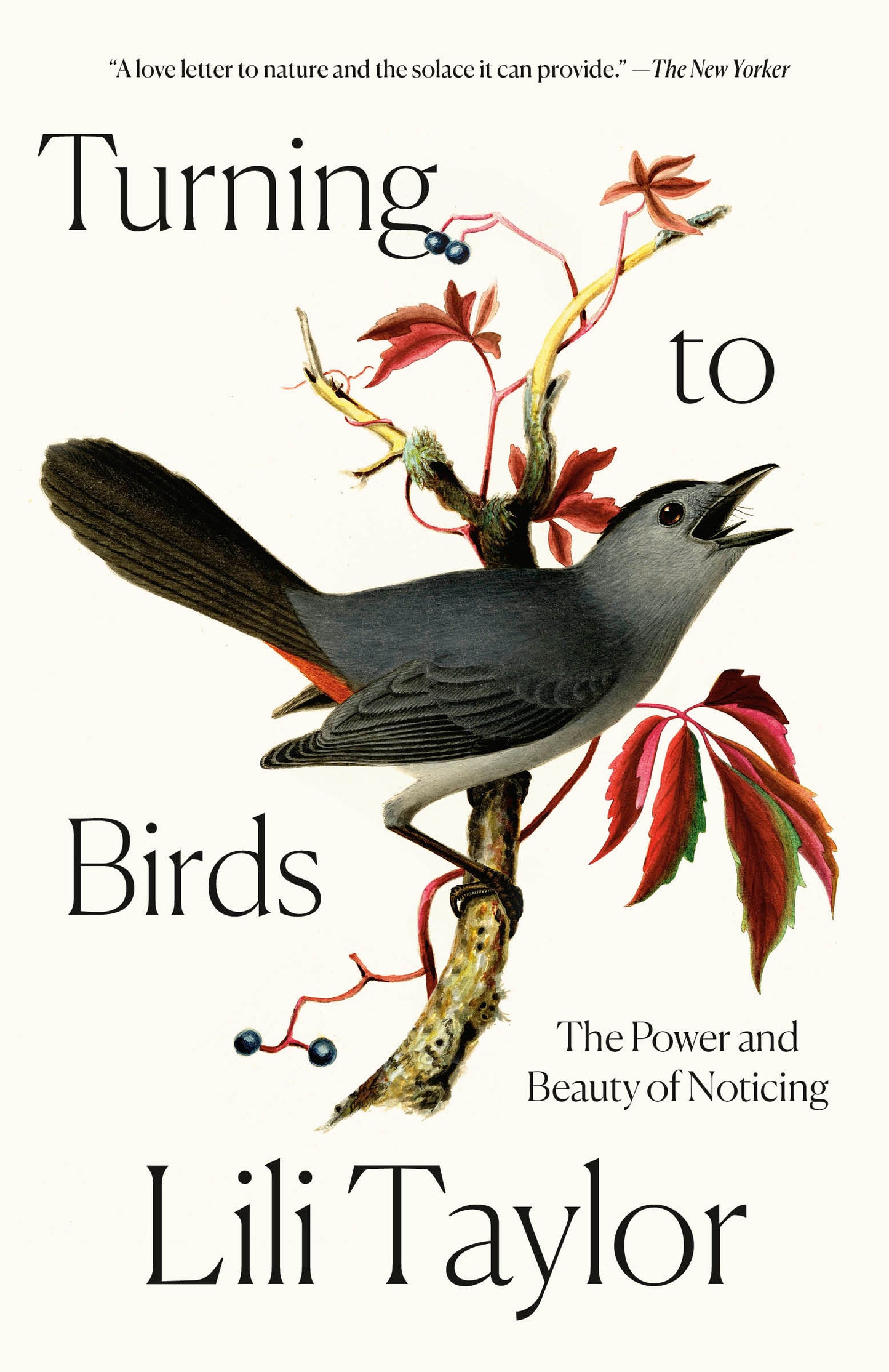 Turning to Birds