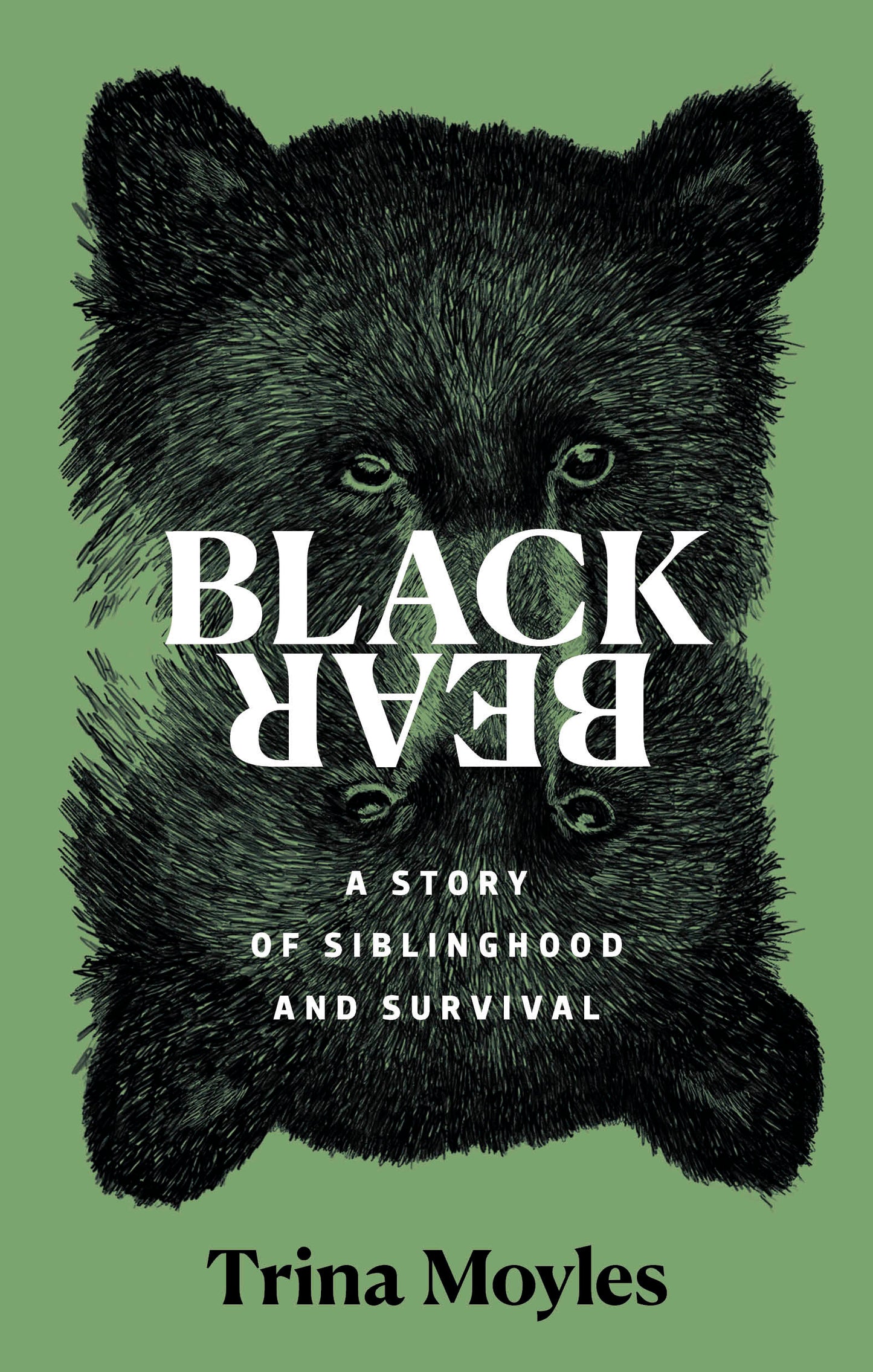Black Bear