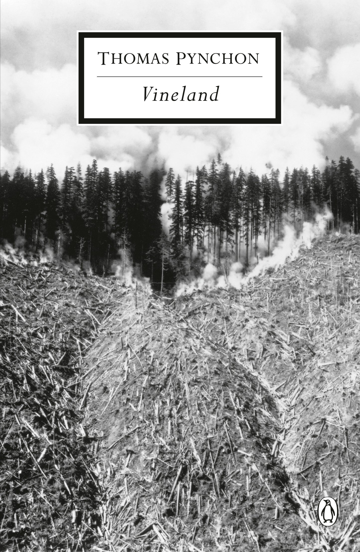 Vineland (The inspiration for One Battle After Another)