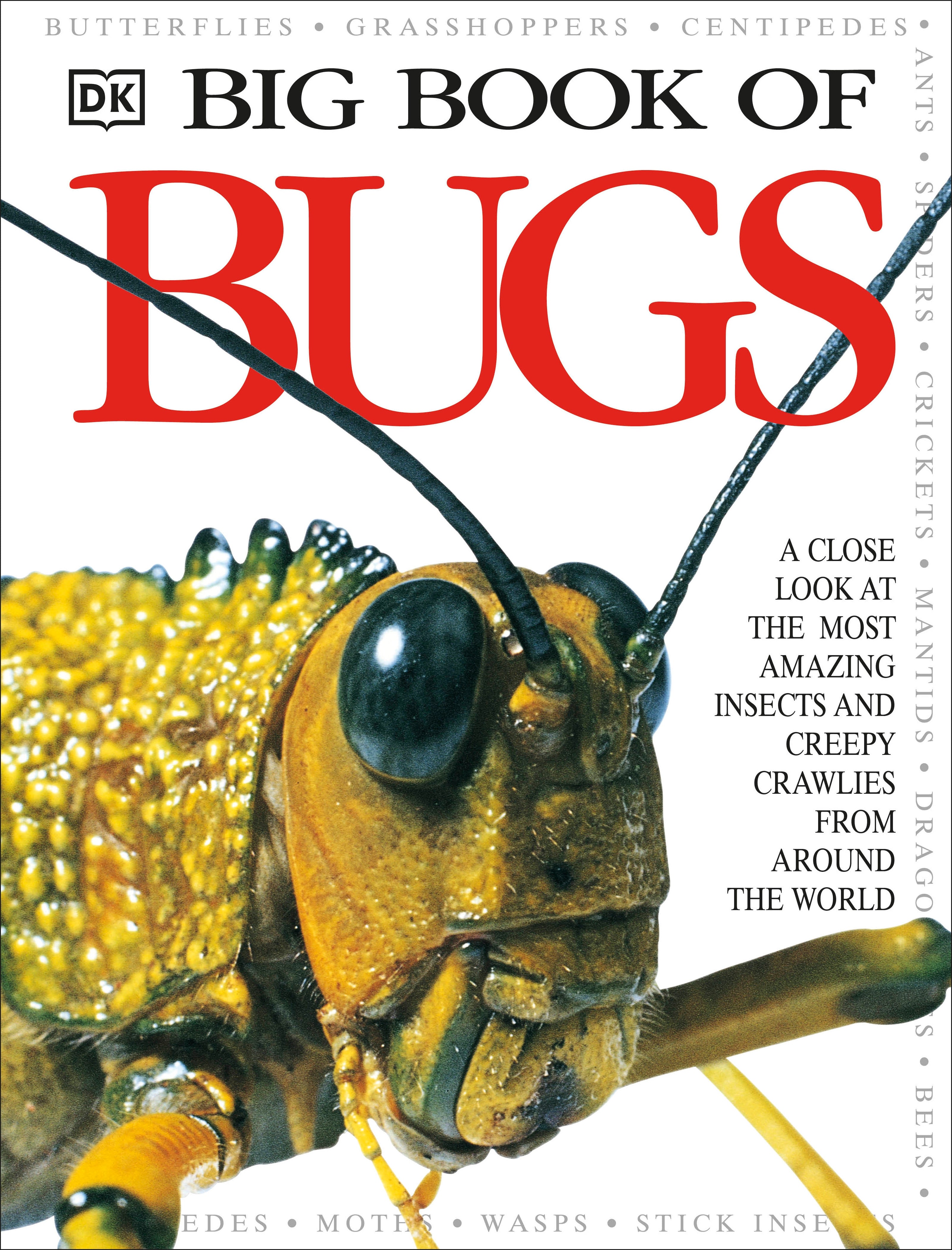 Big Book of Bugs – Penguin Shop