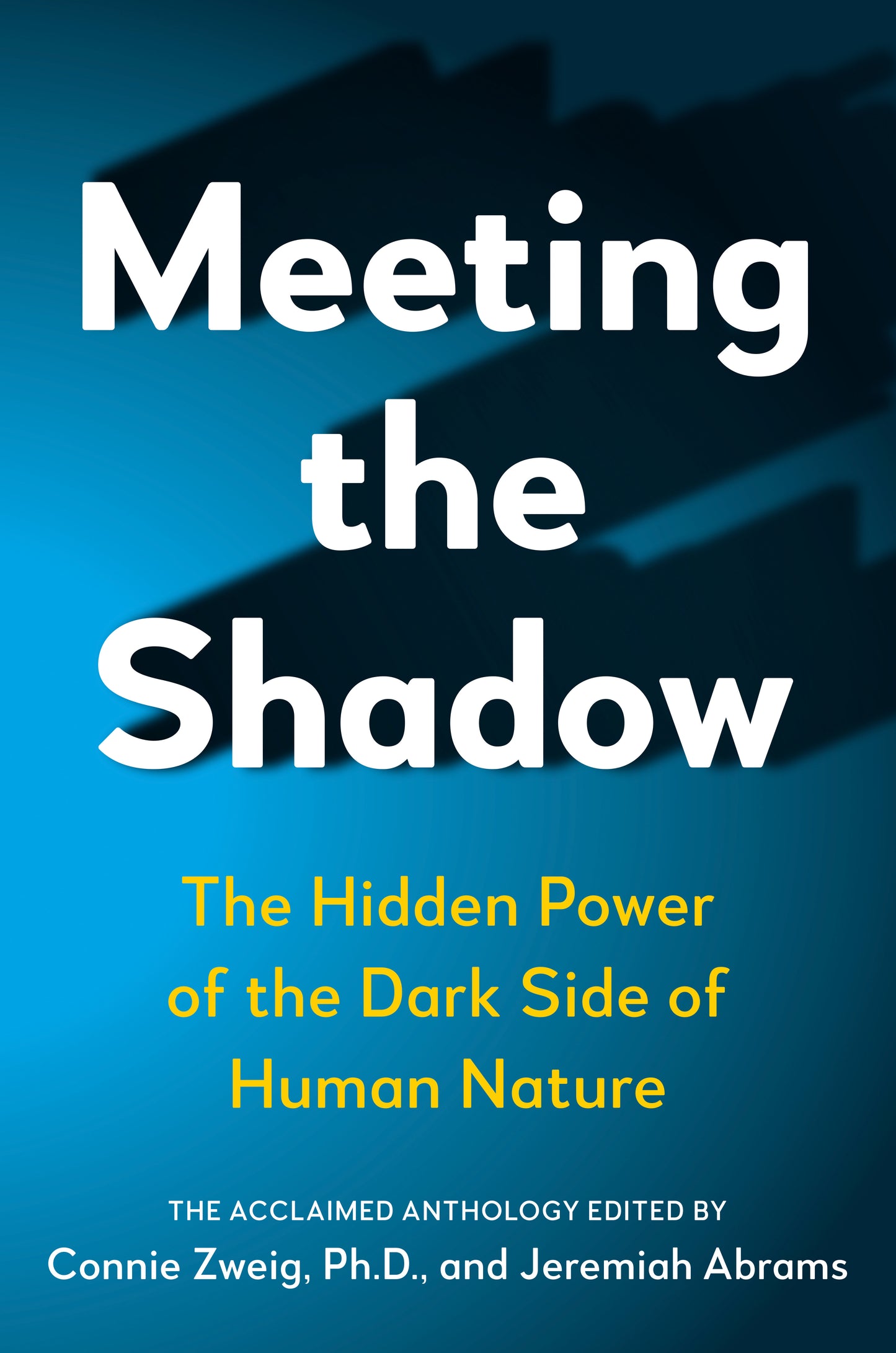 Meeting the Shadow
