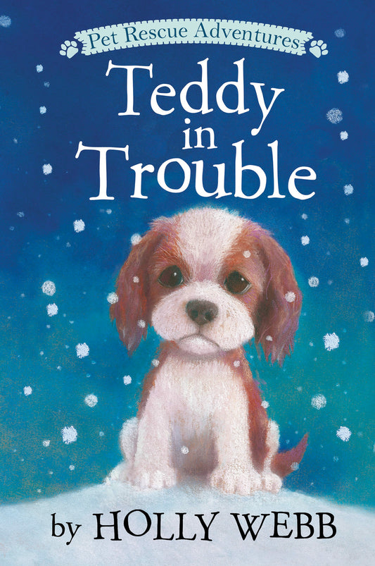 Teddy in Trouble