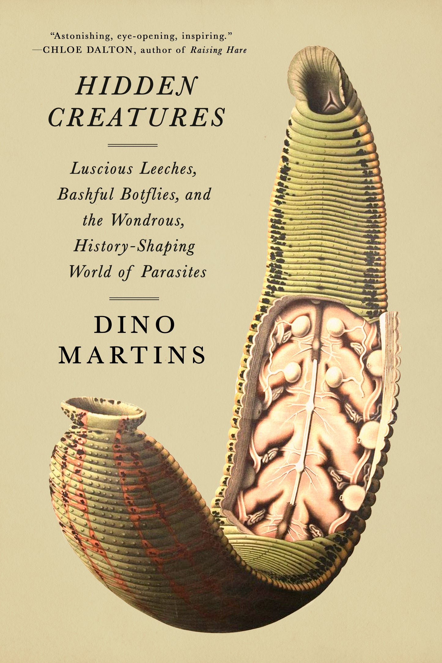 Hidden Creatures