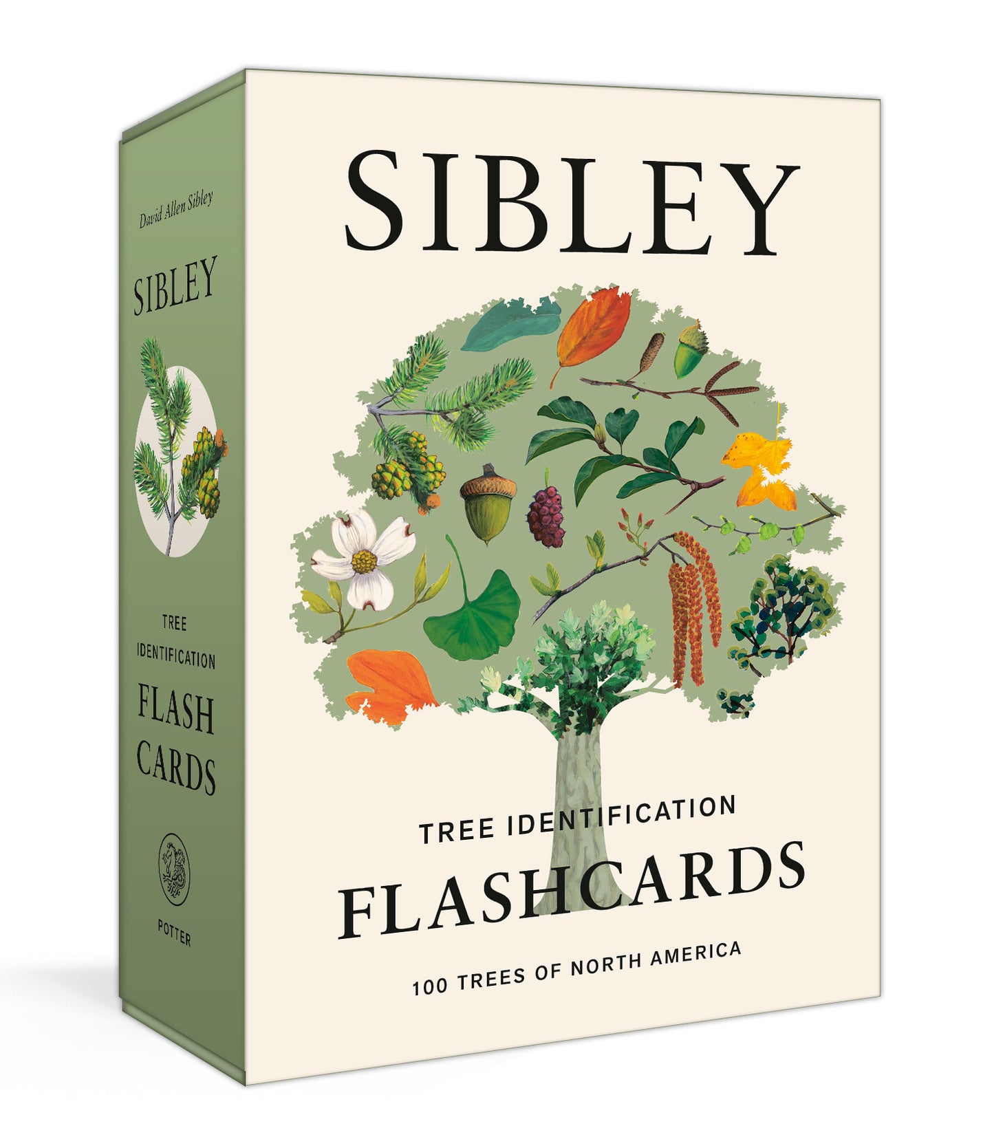 SIBLEY TREE ID FLASHCARDS