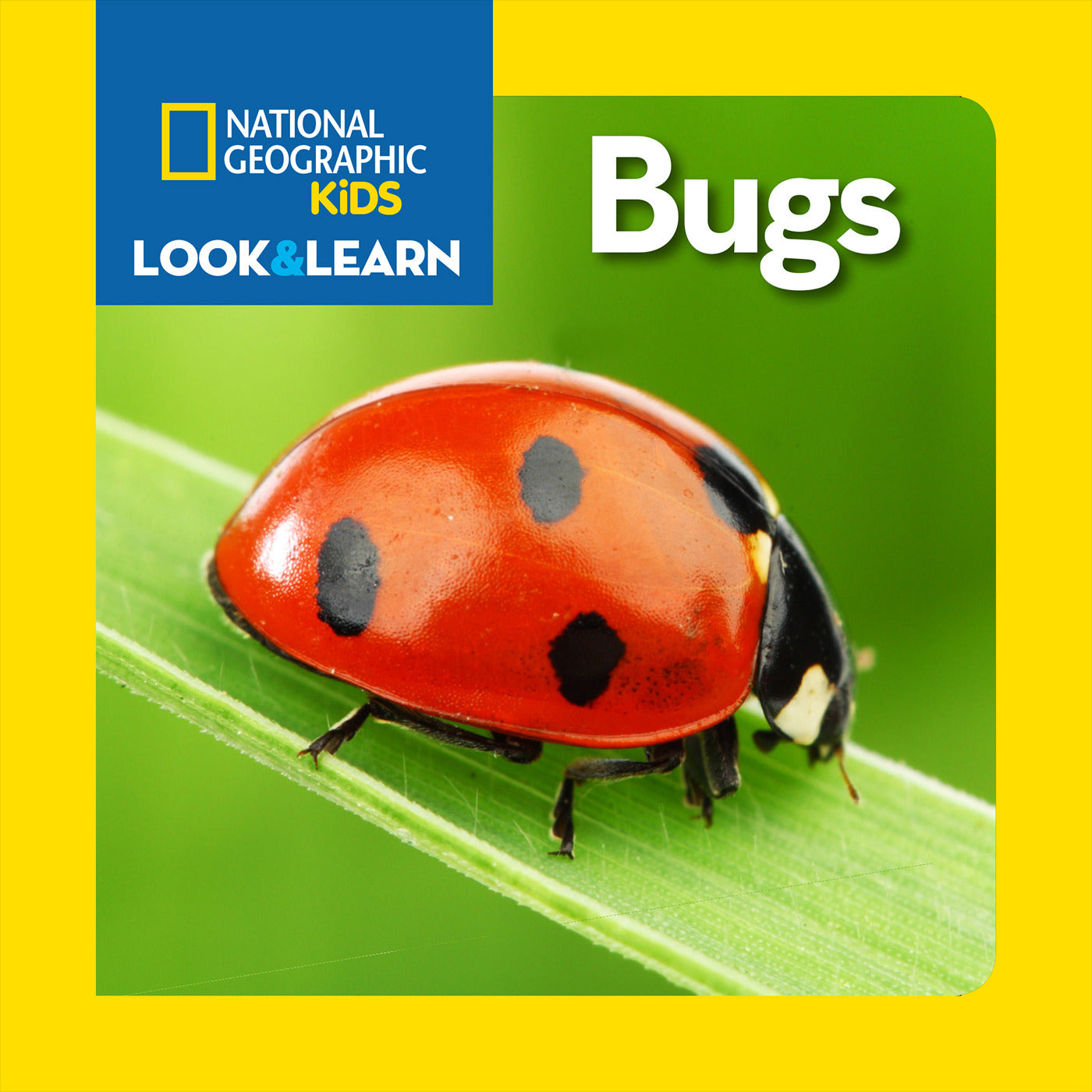 National Geographic Kids Look &amp; Learn: Bugs