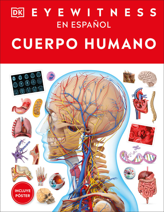 Eyewitness: Cuerpo humano (Human Body)