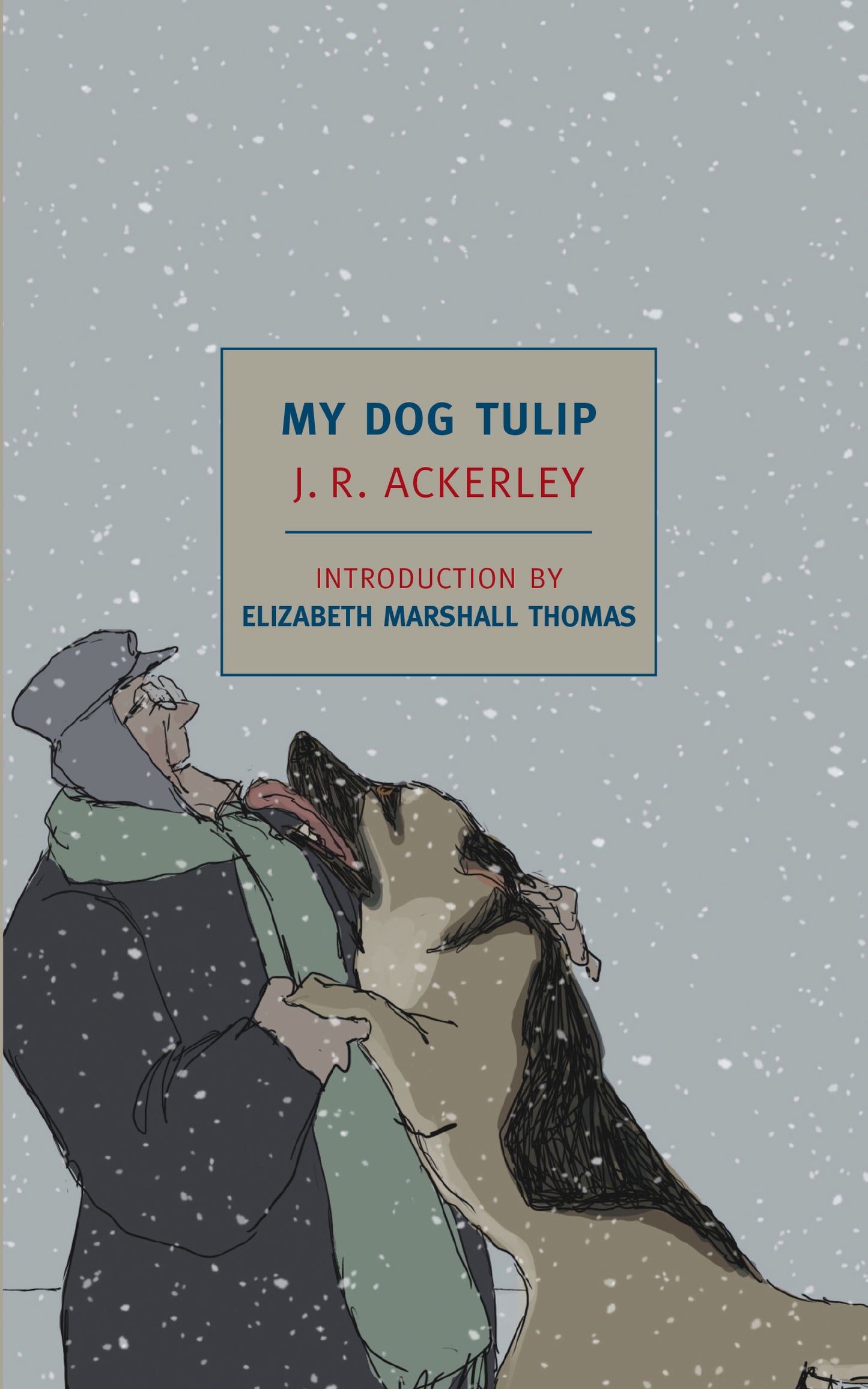 My Dog Tulip