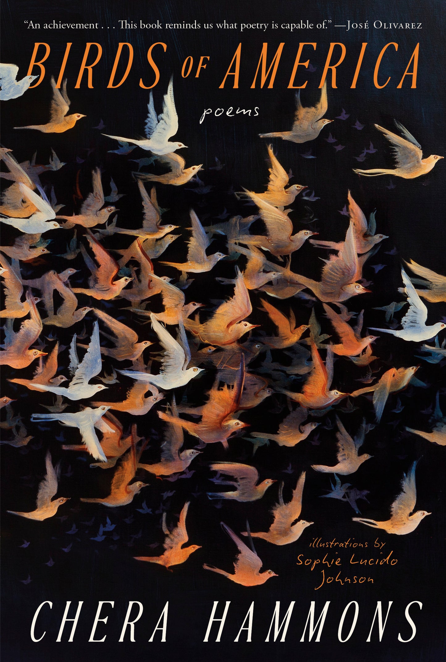 Birds of America