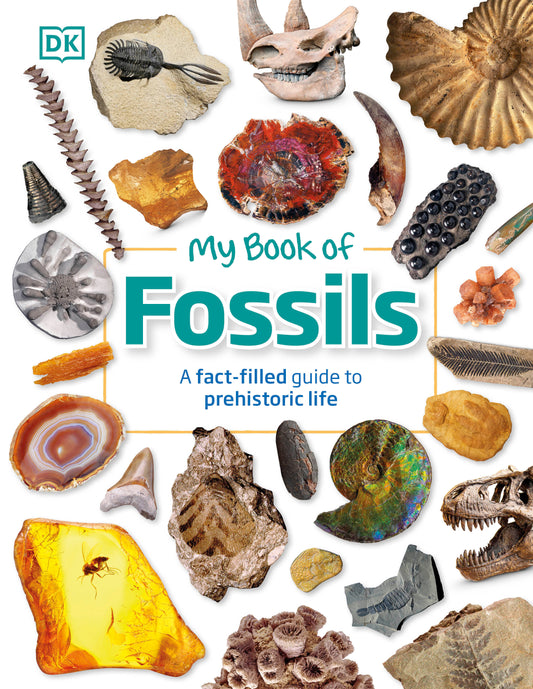 My Book of Fossils