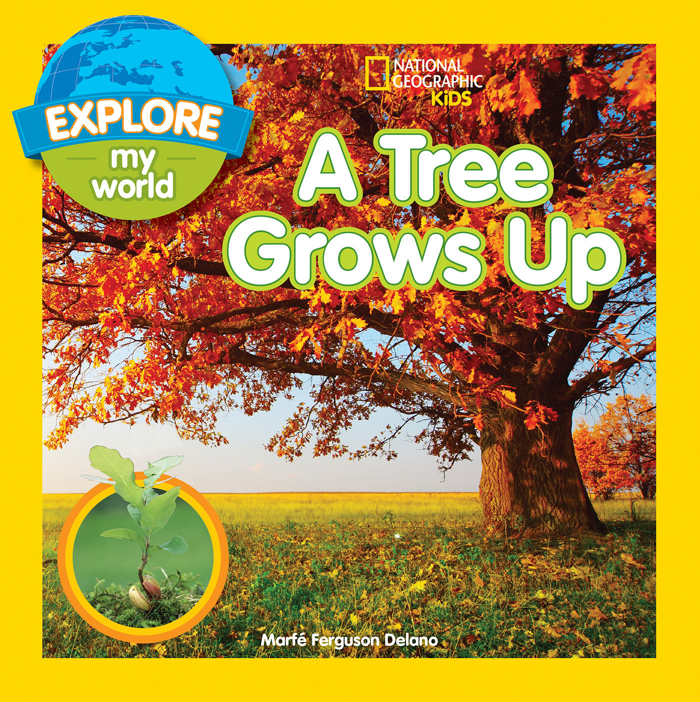 Explore My World: A Tree Grows Up