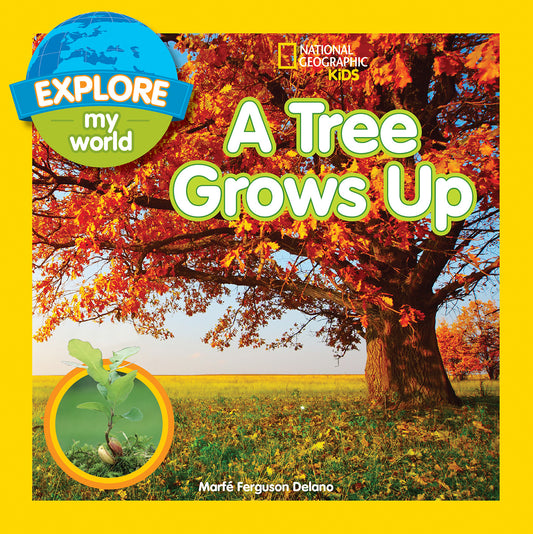 Explore My World: A Tree Grows Up