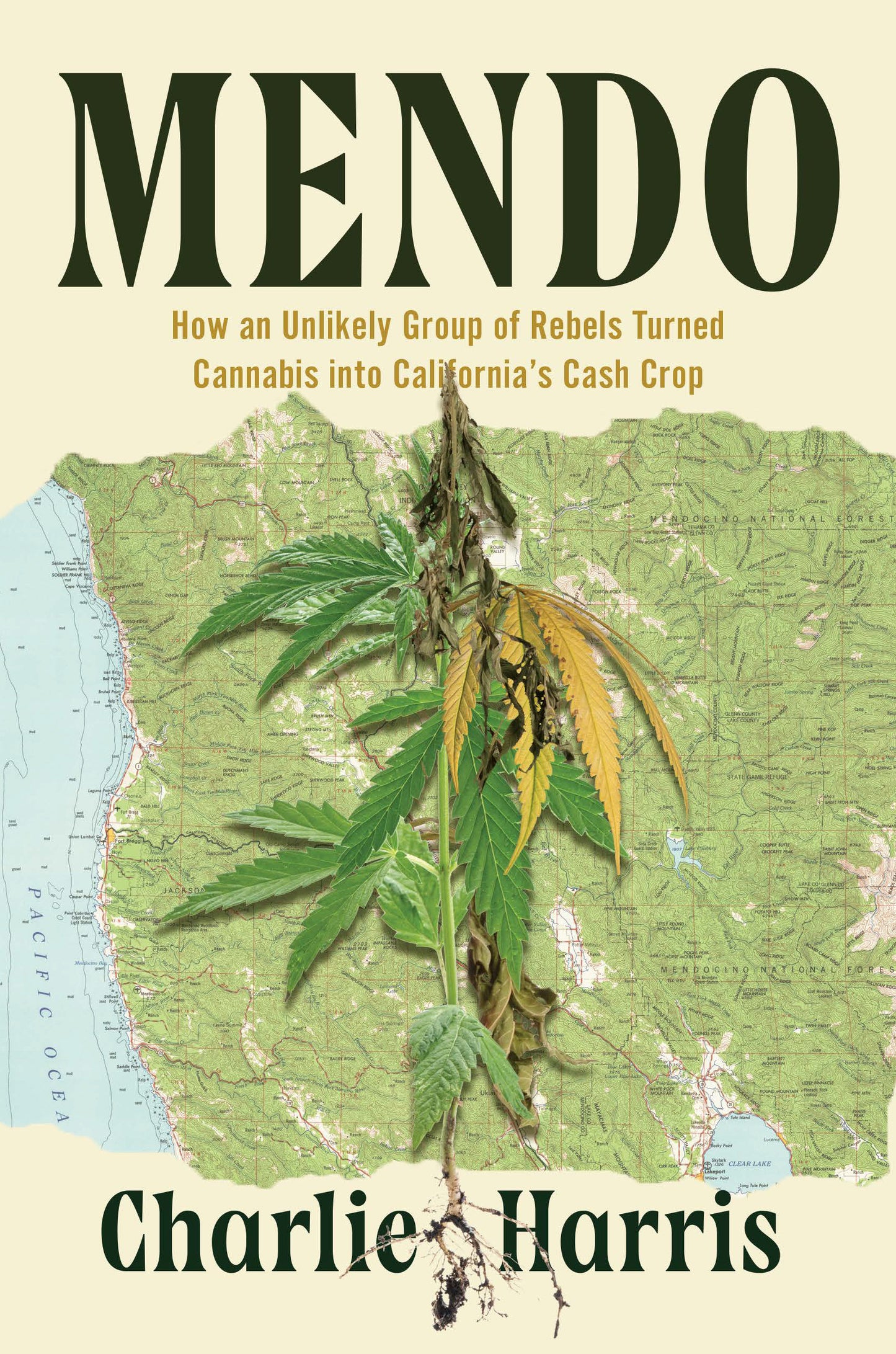 Mendo