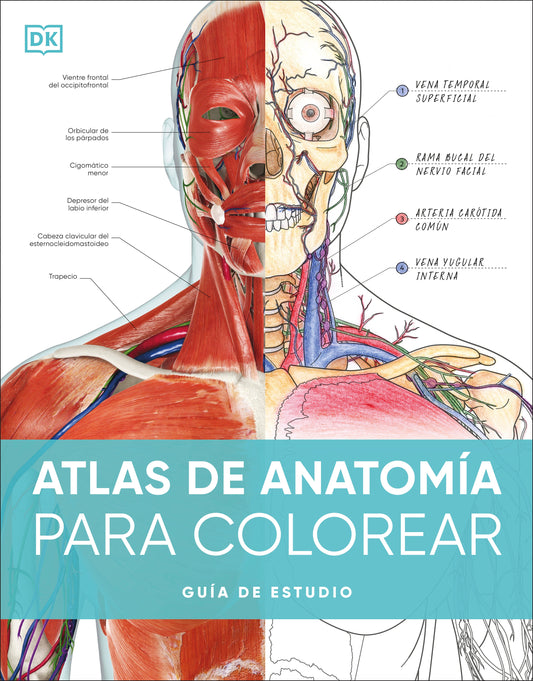 Atlas de anatomia para colorear (The Human Body Coloring Book)