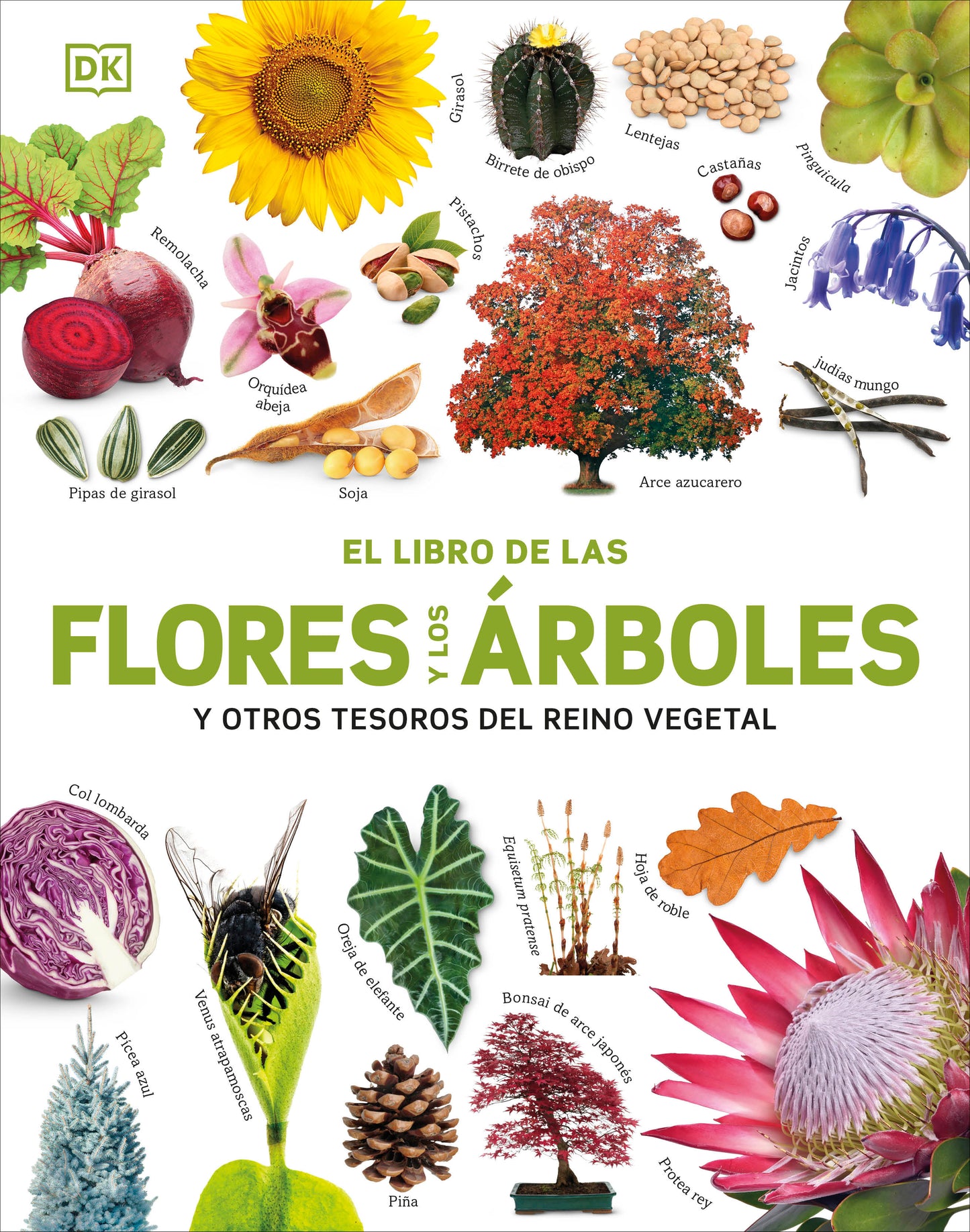 El Libro de las flores y los arboles (Our World in Pictures: Trees, Leaves, Flowers &amp; Seeds)