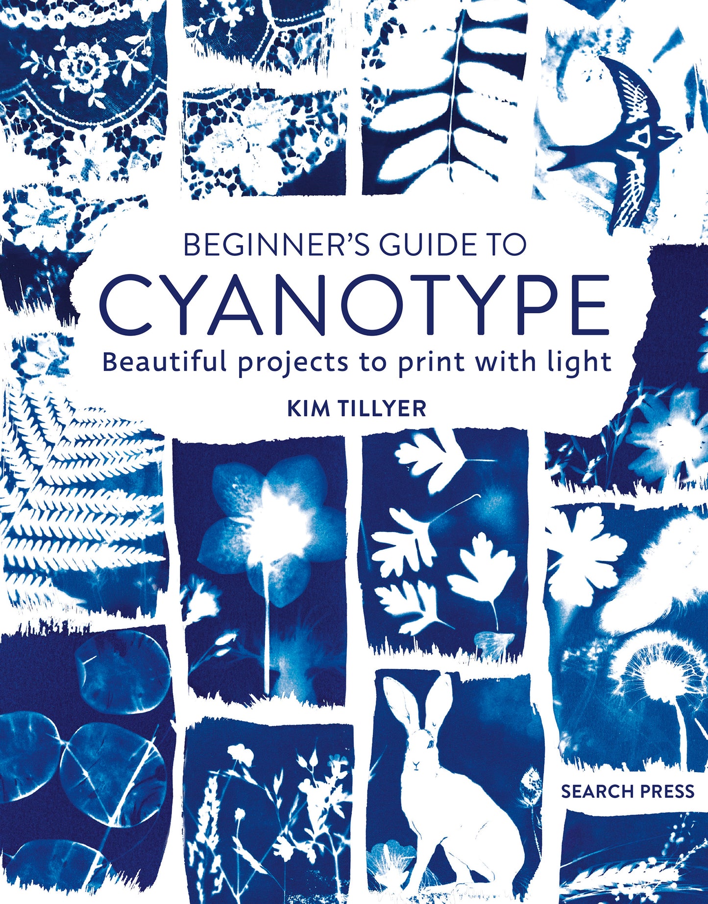 Beginner’s Guide to Cyanotype