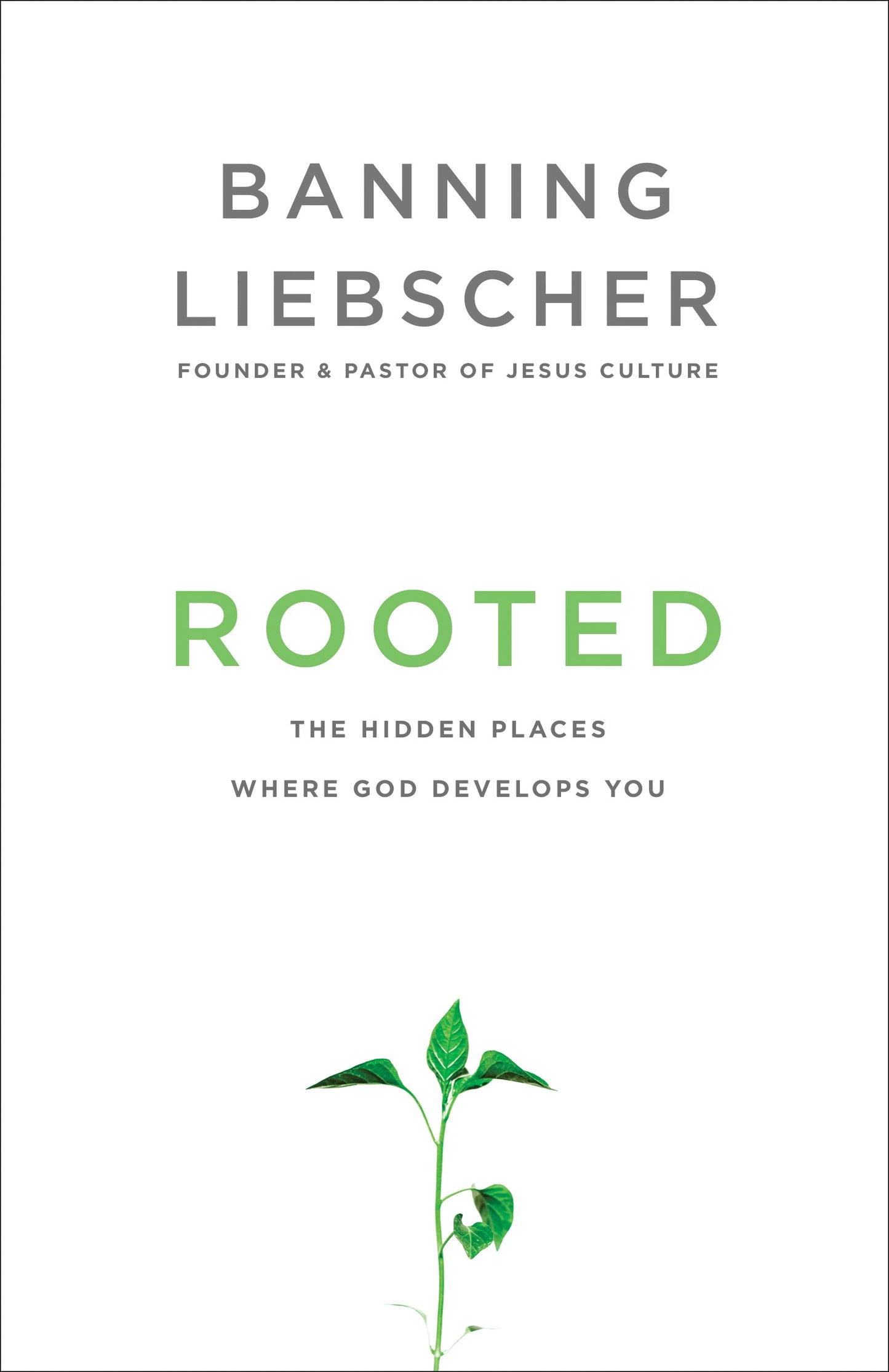 Rooted