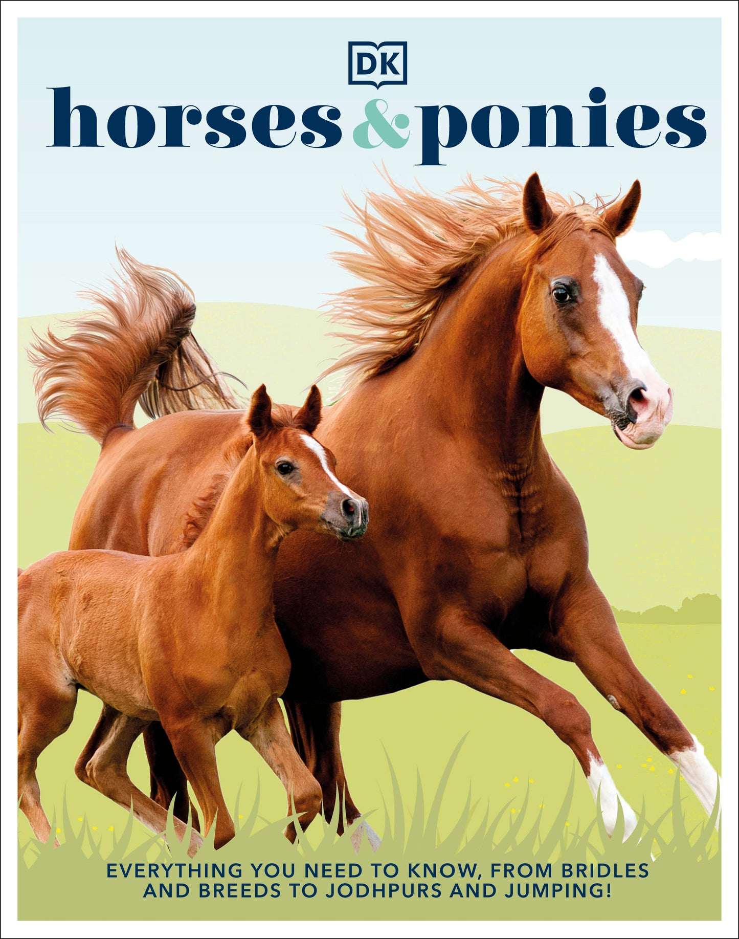 Horses &amp; Ponies