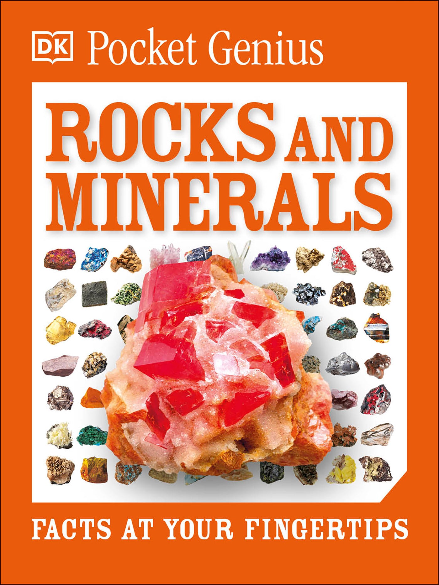 Pocket Genius: Rocks and Minerals