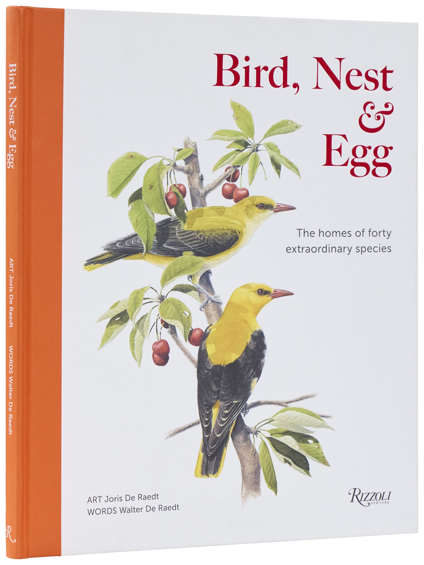 Bird, Nest &amp; Egg