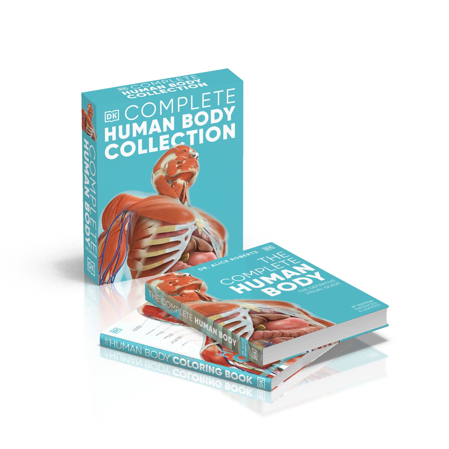 BODY - ENHANCED ANATOMY