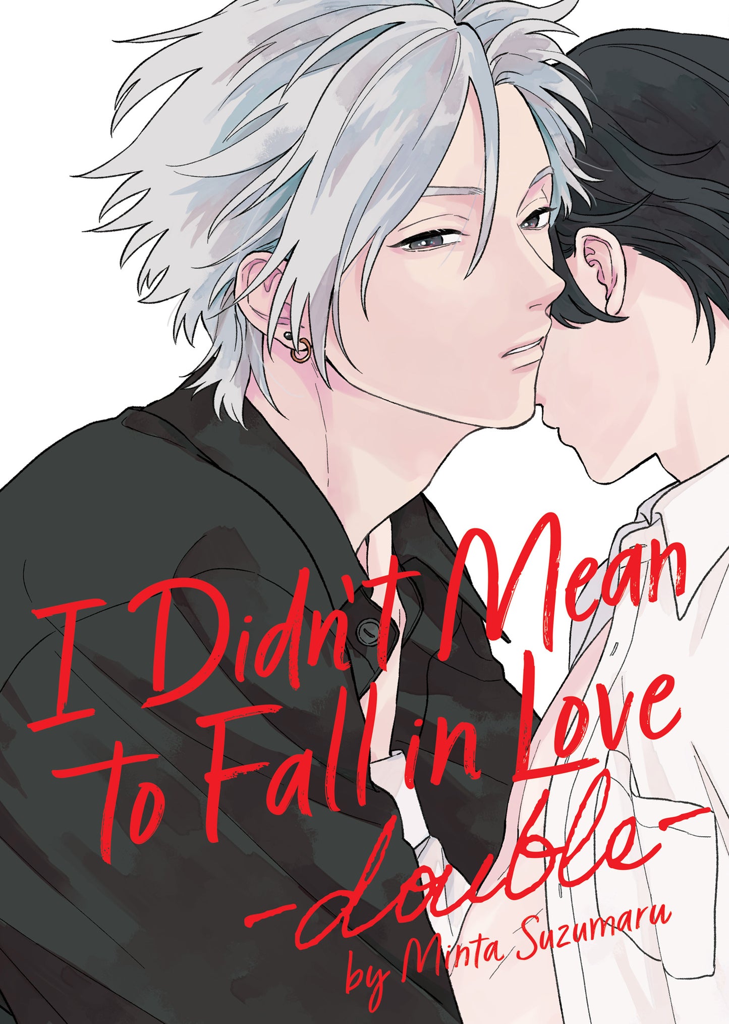 I Didn't Mean to Fall in Love -double-