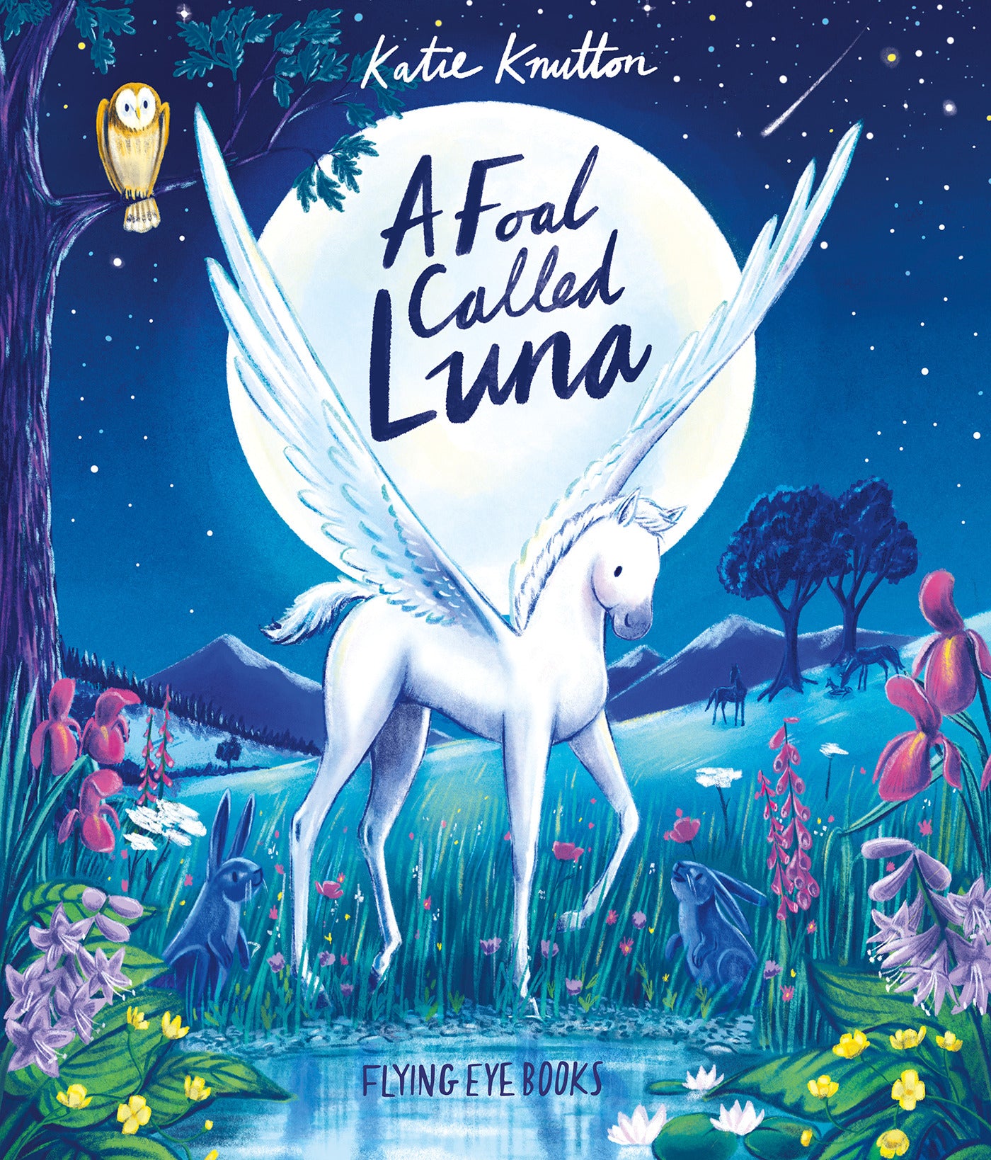 A Foal Called Luna