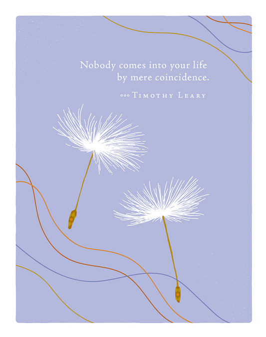 Positively Green Greeting Cards: Thank You - Nobody comes into your life by (Pack of 6)