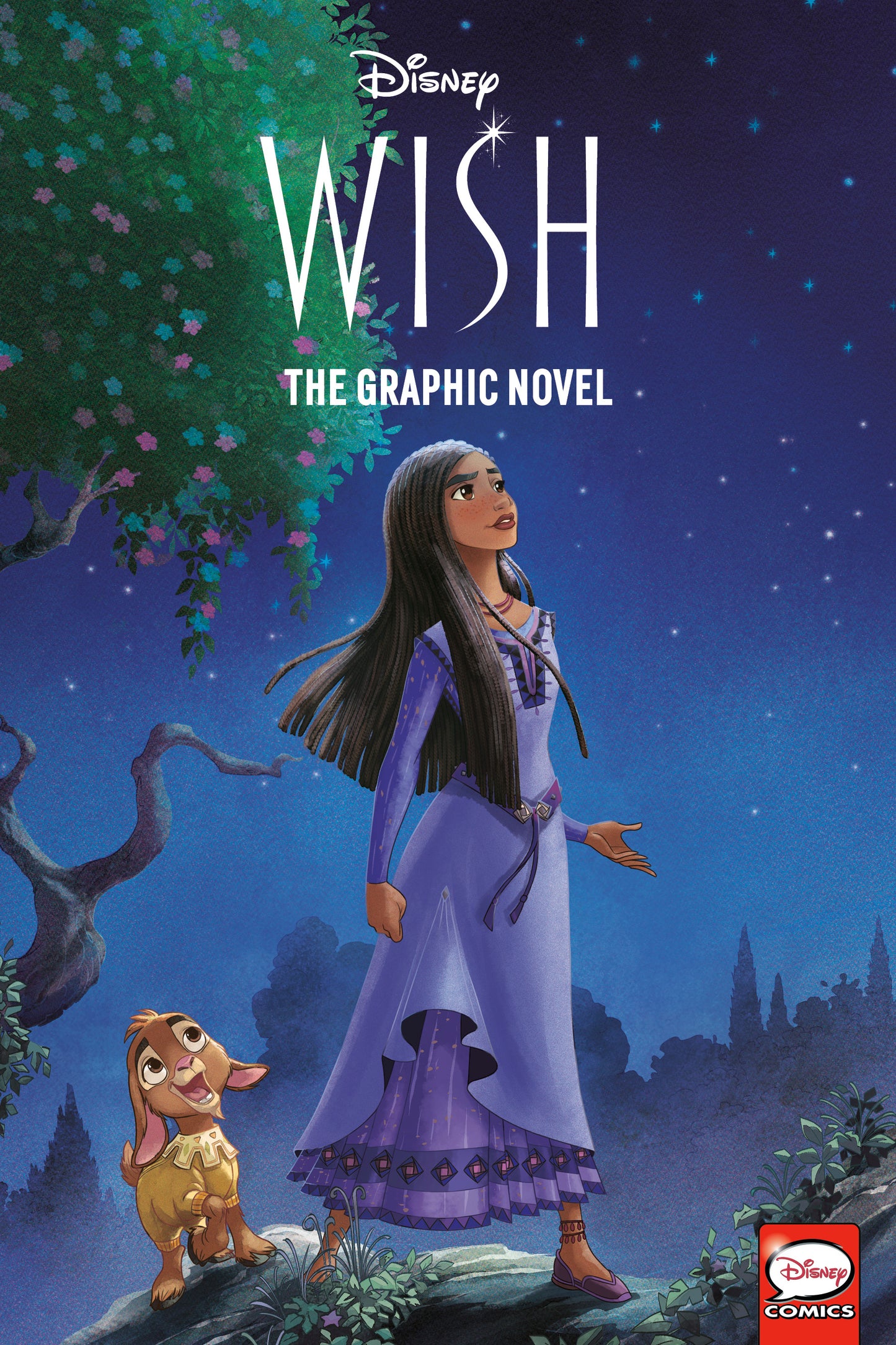 Disney Wish: The Graphic Novel