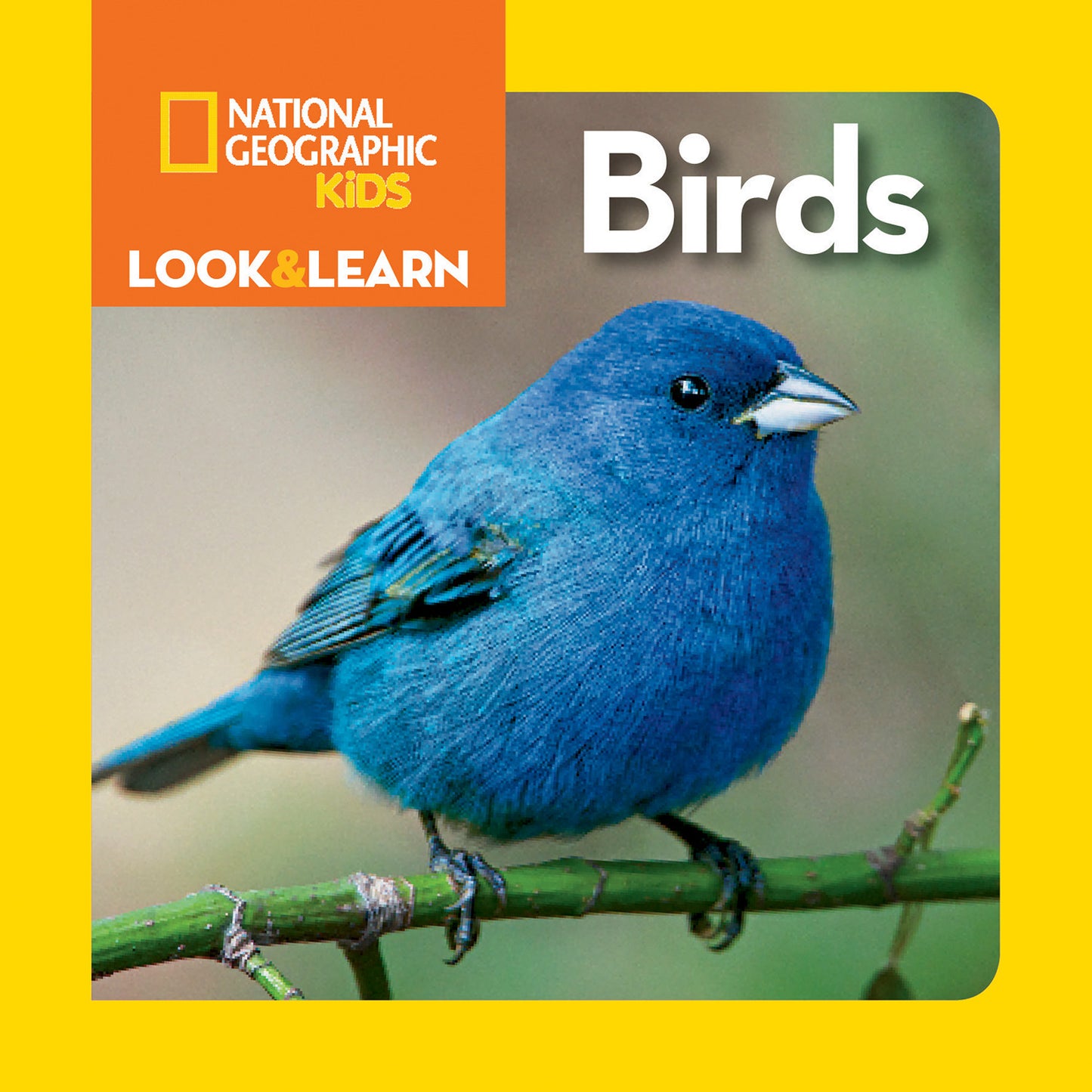 National Geographic Kids Look &amp; Learn: Birds