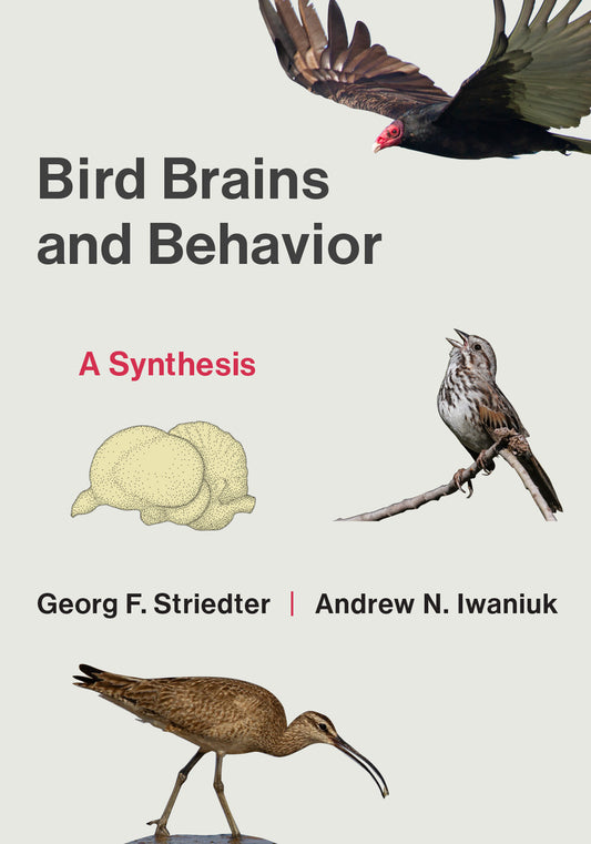 Bird Brains and Behavior