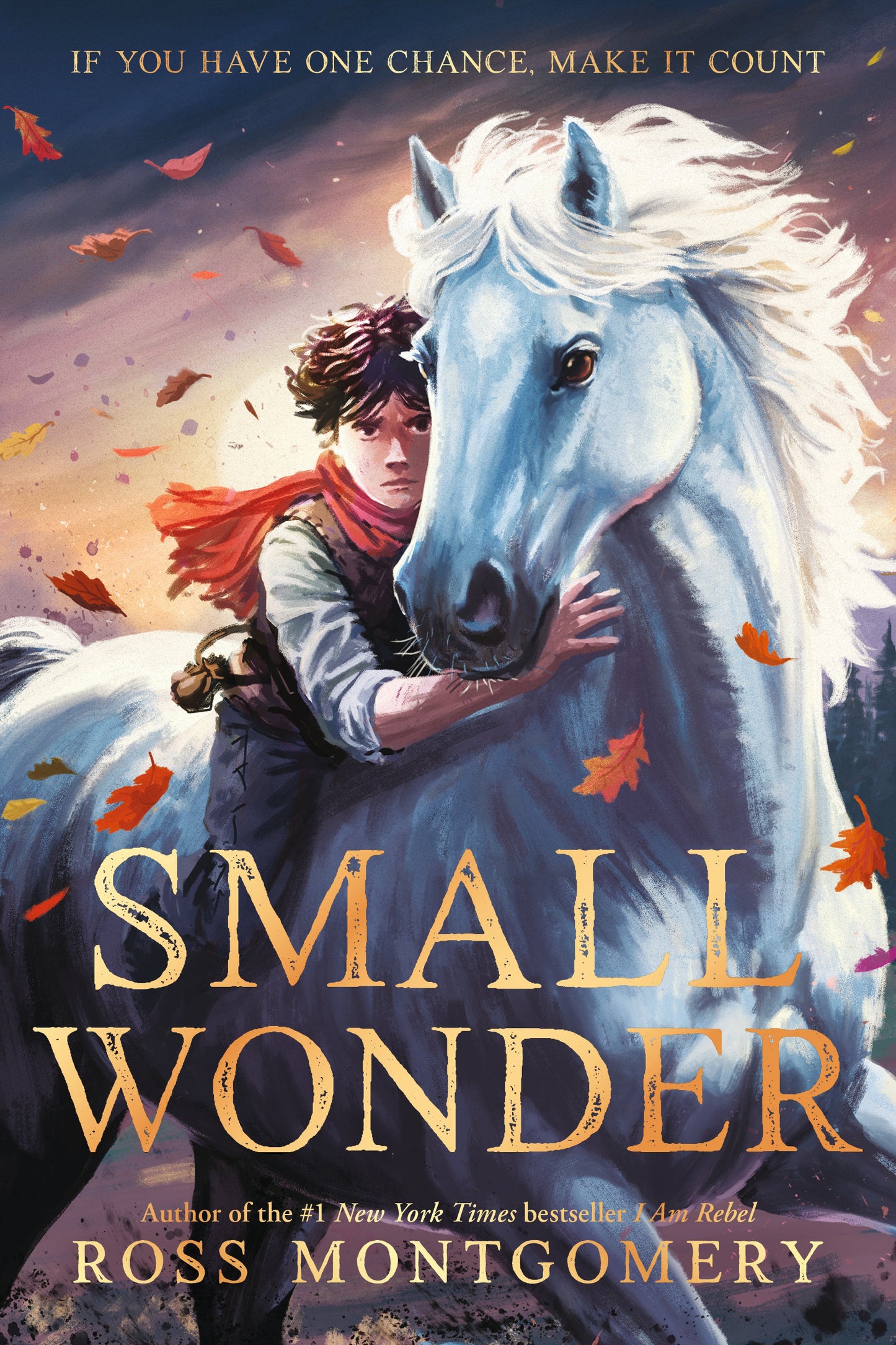 Small Wonder