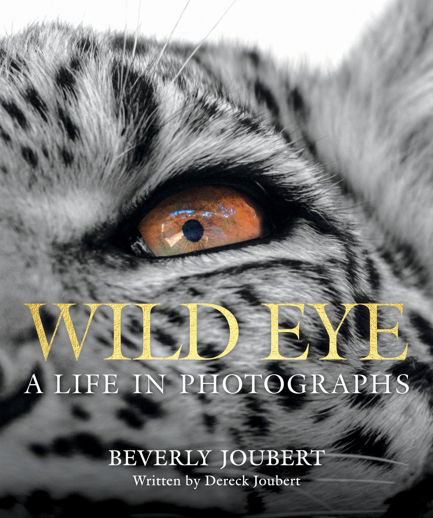 Wild Eye
