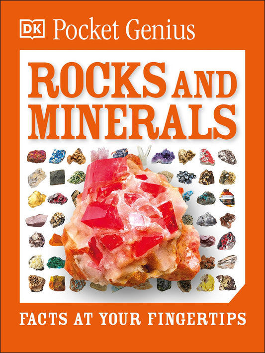 Pocket Genius Rocks and Minerals