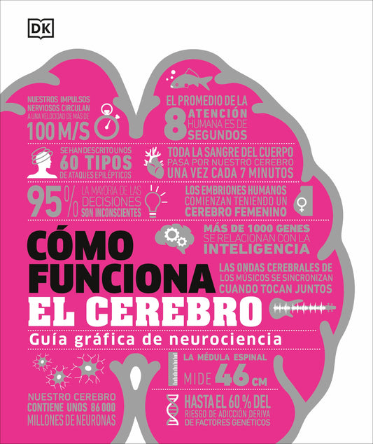 Como funciona el cerebro (How the Brain Works)