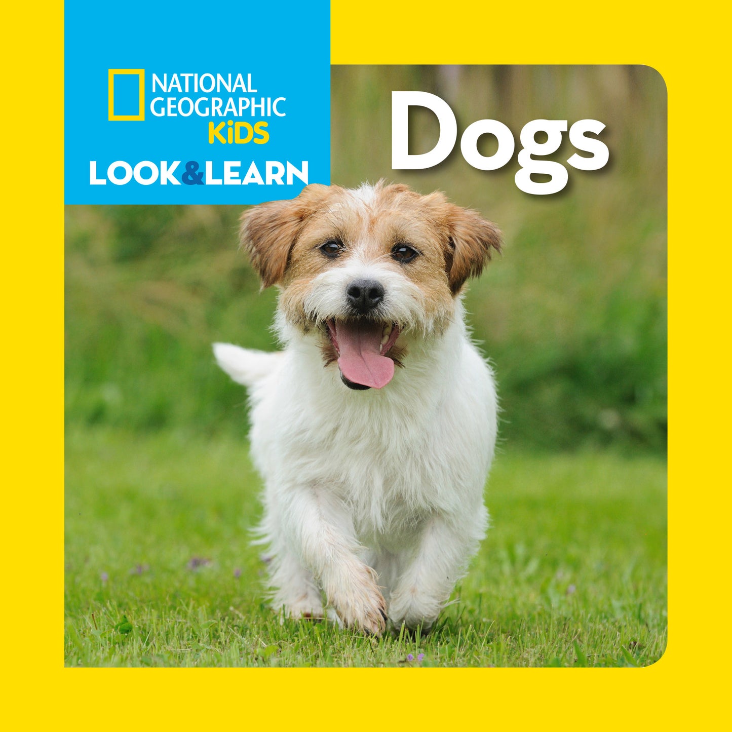 National Geographic Kids Look &amp; Learn: Dogs