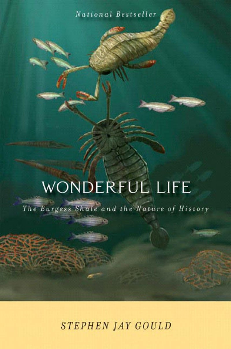 Wonderful Life