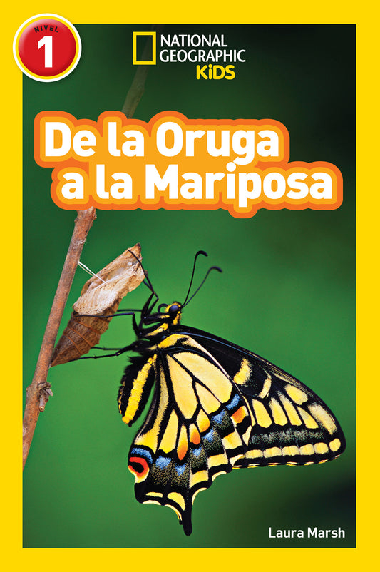 National Geographic Readers: De la Oruga a la Mariposa (Caterpillar to Butterfly)