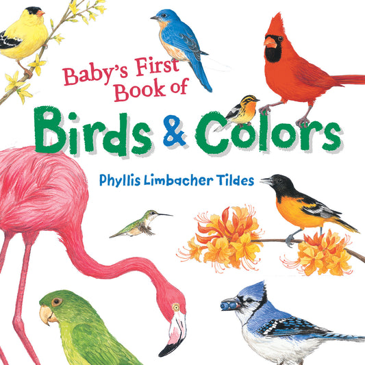 Baby's First Book of Birds &amp; Colors