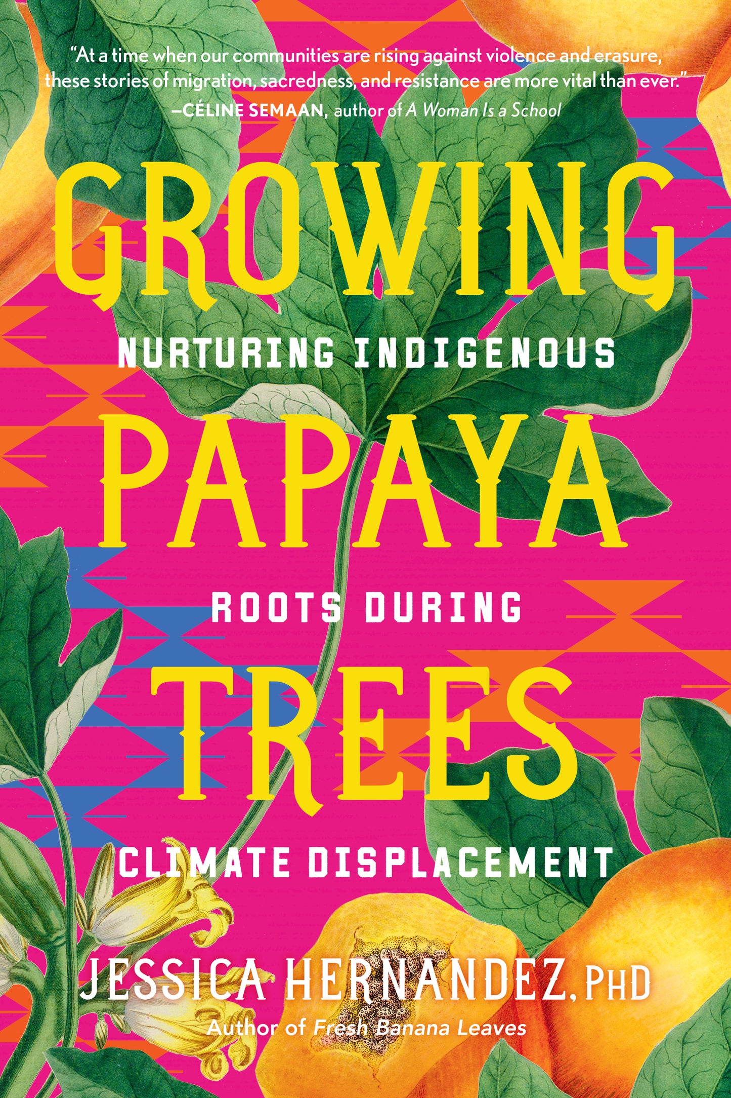 Growing Papaya Trees