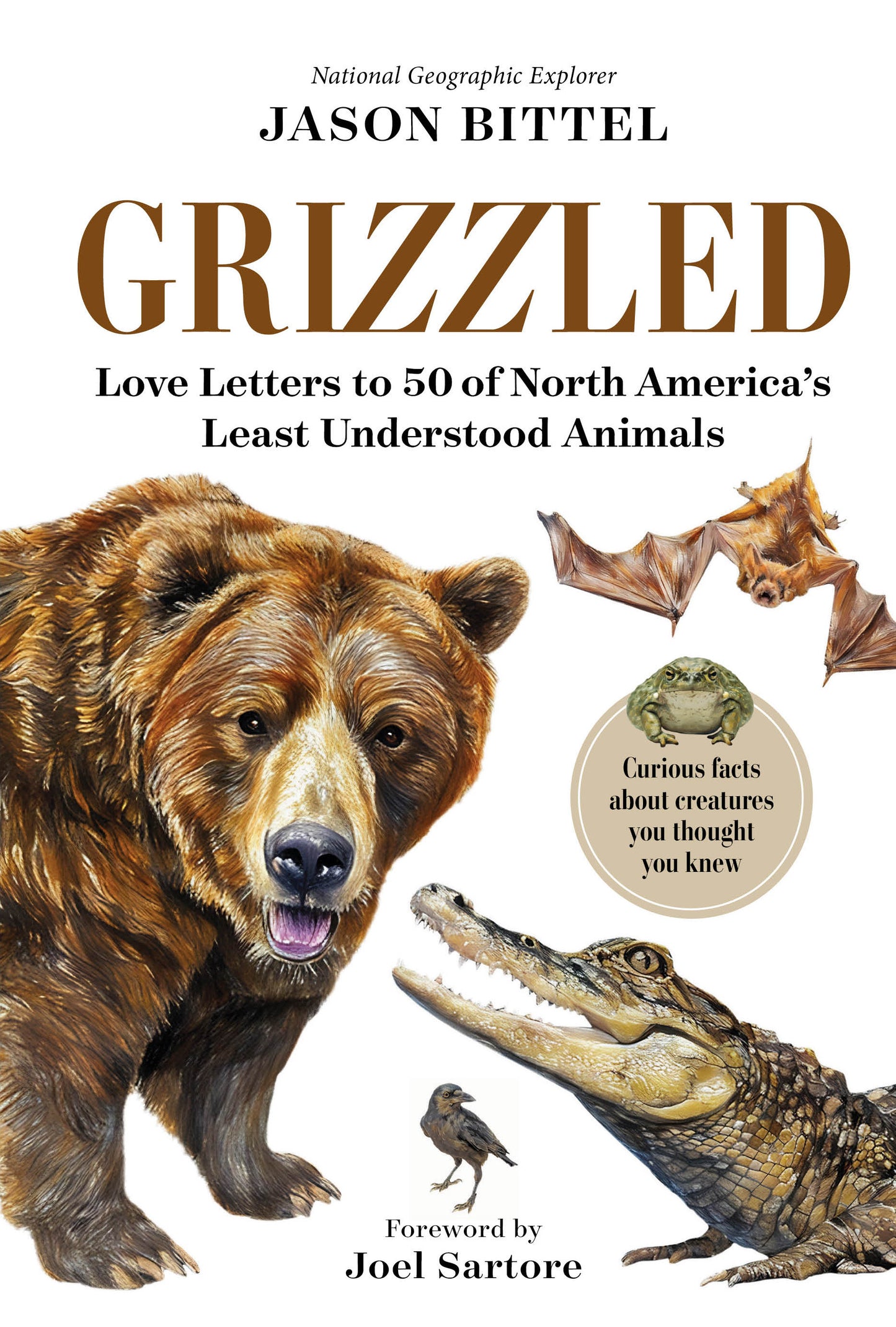 Grizzled
