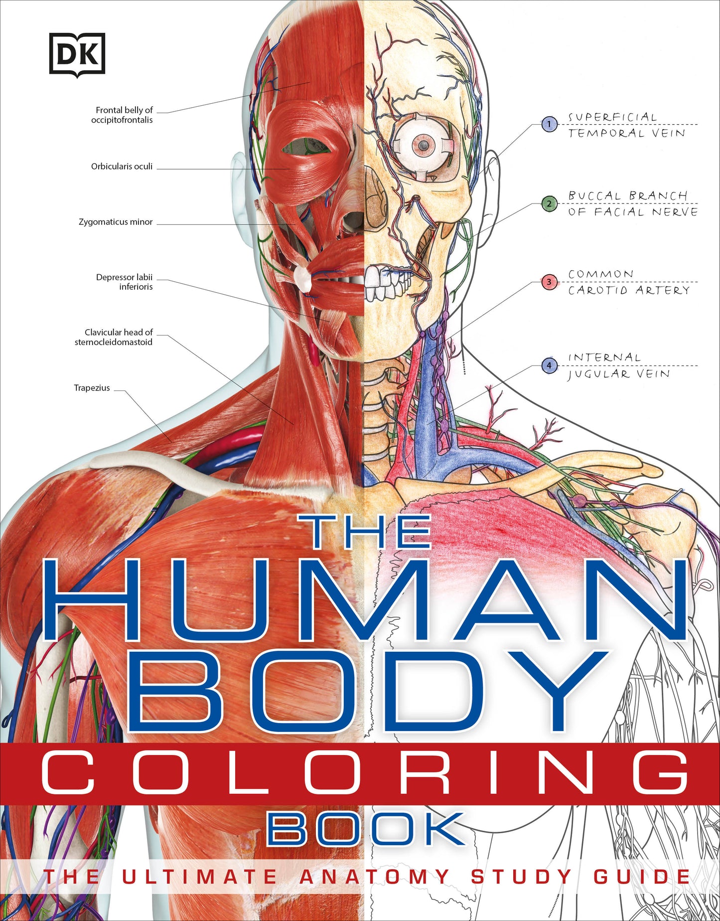 The Human Body Coloring Book